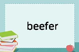 beefer是什么意思