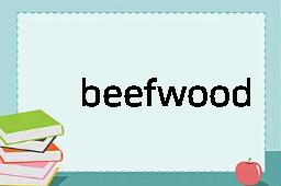 beefwood是什么意思