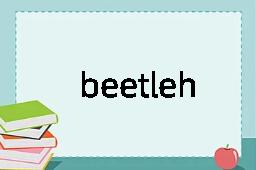 beetlehead是什么意思