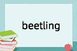 beetling是什么意思