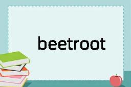 beetroot是什么意思