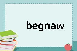 begnaw是什么意思