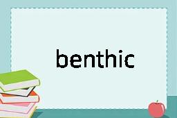 benthic是什么意思