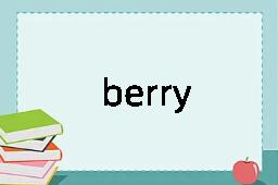 berry是什么意思