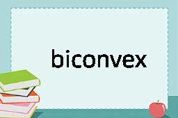 biconvex是什么意思