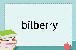 bilberry是什么意思