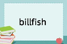 billfish是什么意思