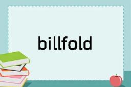 billfold是什么意思