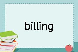 billing是什么意思