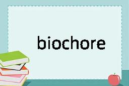 biochore是什么意思