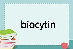 biocytin是什么意思