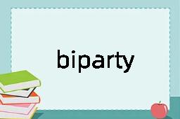 biparty是什么意思