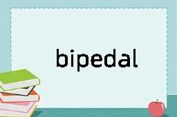 bipedal是什么意思