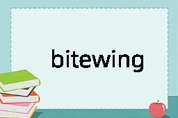 bitewing是什么意思