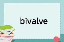 bivalve是什么意思