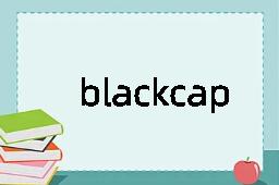 blackcap是什么意思