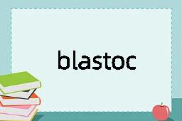 blastocele是什么意思