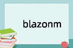 blazonment是什么意思