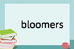 bloomers是什么意思