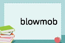 blowmobile是什么意思