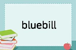 bluebill是什么意思