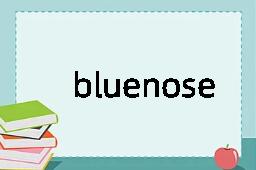 bluenose是什么意思