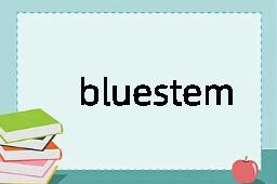 bluestem是什么意思