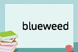 blueweed是什么意思