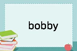 bobby是什么意思