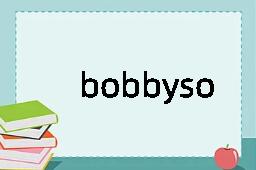 bobbysocks是什么意思