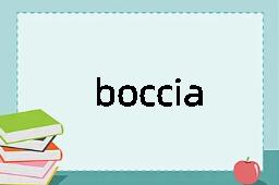 boccia是什么意思