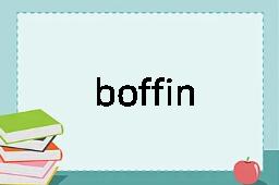 boffin是什么意思