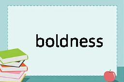boldness是什么意思