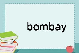 bombay是什么意思