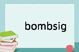 bombsight是什么意思