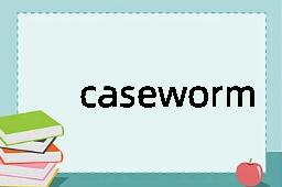 caseworm是什么意思