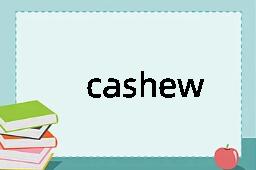 cashew是什么意思