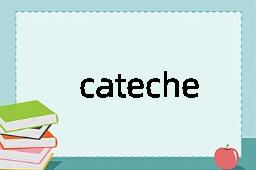 catechetics是什么意思