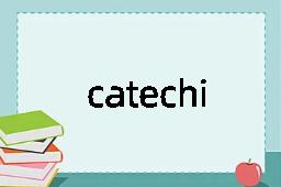 catechise是什么意思