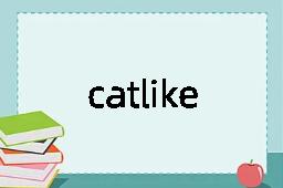 catlike是什么意思