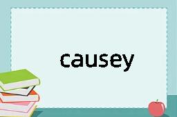 causey是什么意思