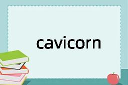 cavicorn是什么意思