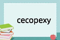 cecopexy是什么意思