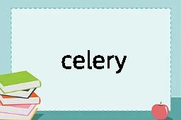 celery是什么意思