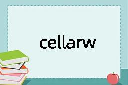 cellarway是什么意思