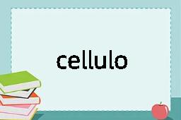 cellulous是什么意思