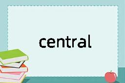 centralisation是什么意思