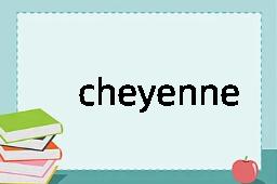 cheyenne是什么意思