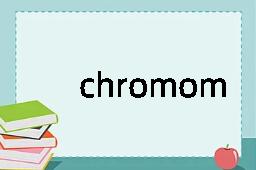 chromomere是什么意思