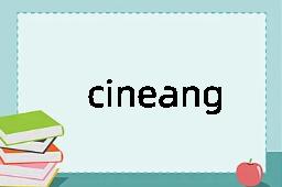 cineangiography是什么意思